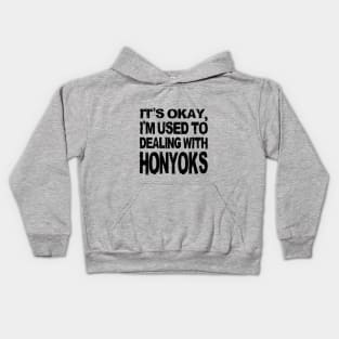 It's okay, I'm used to dealing with Honyoks Kids Hoodie